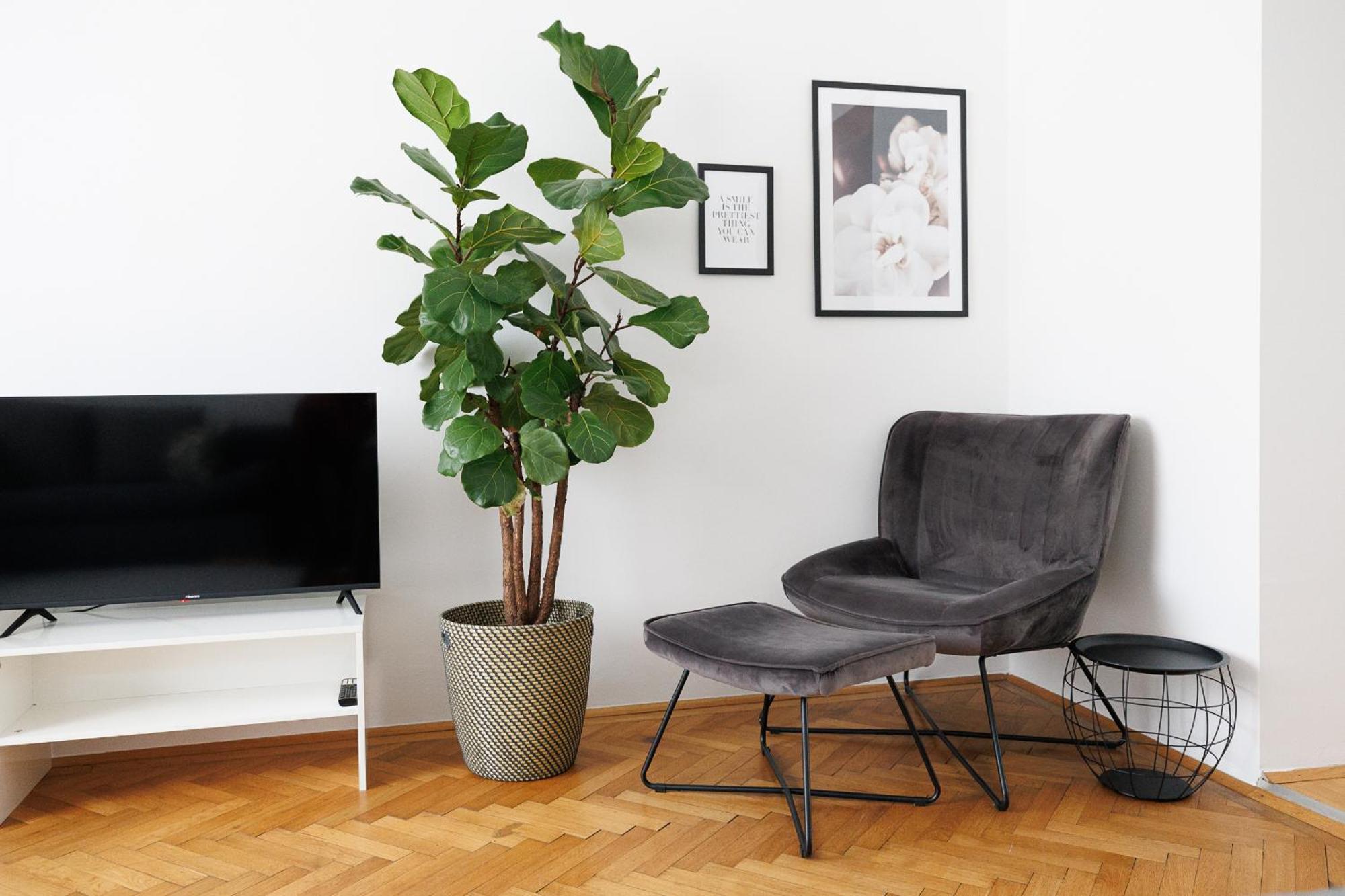 #29 Heaven Messe/prater Apartamento